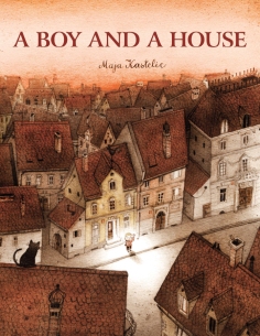 boy and a house